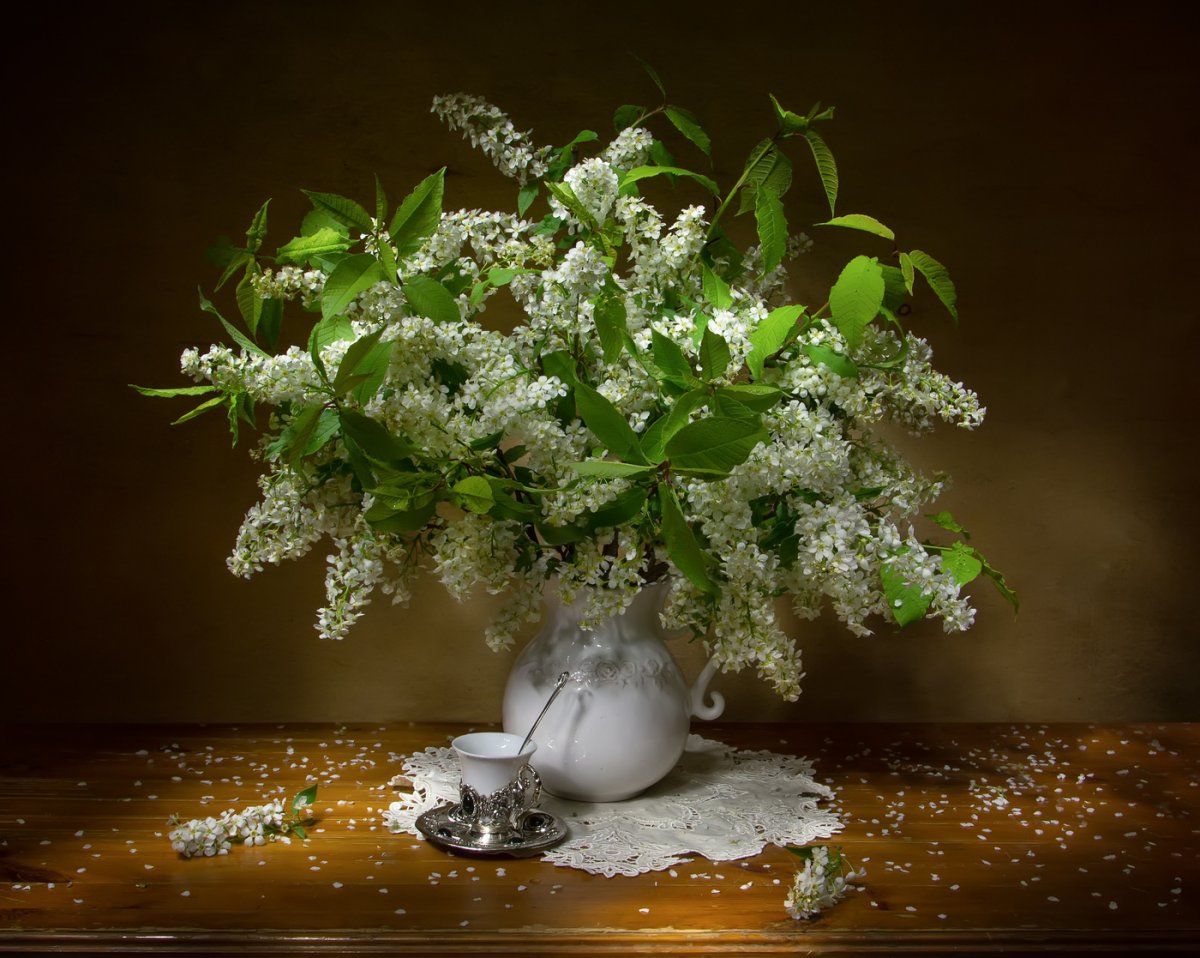 Черемуха обыкновенная в Ярославле