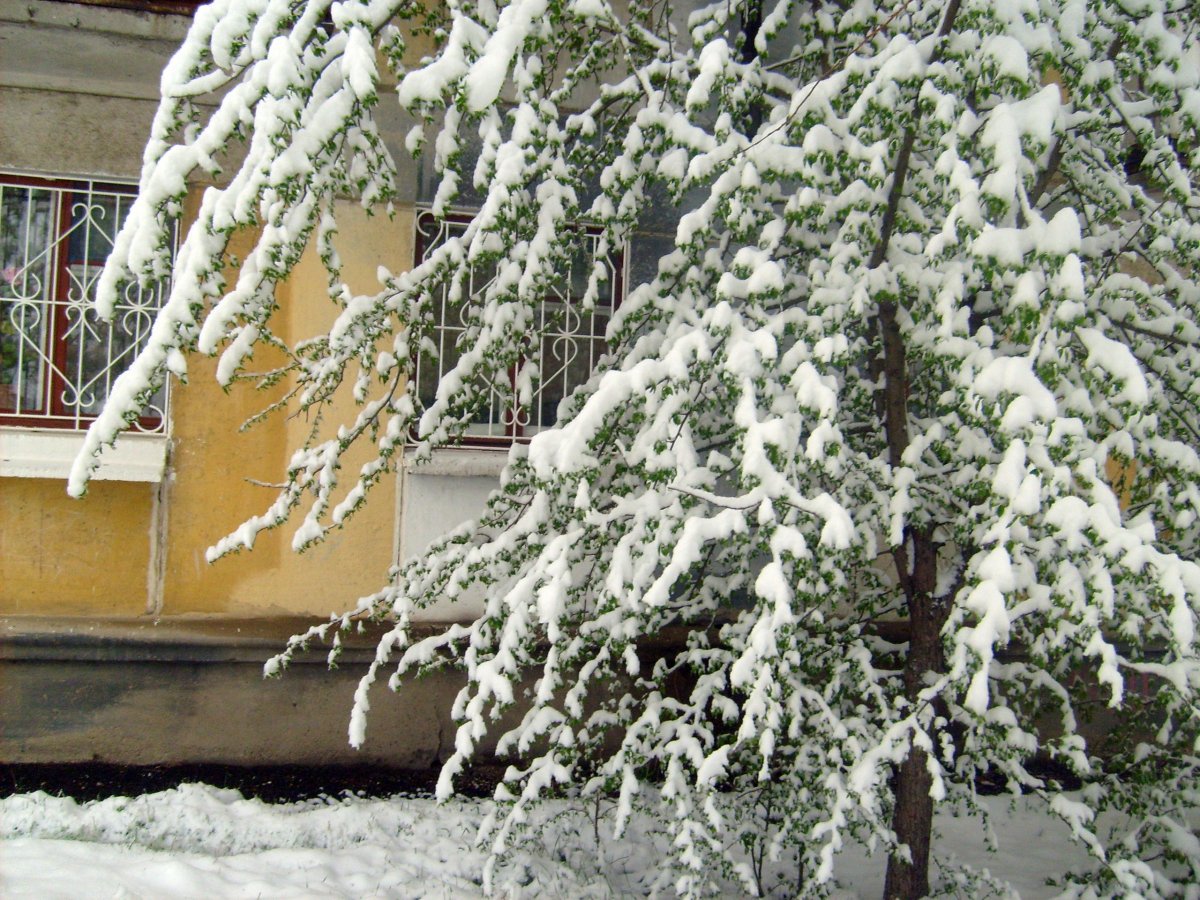 Время года зима