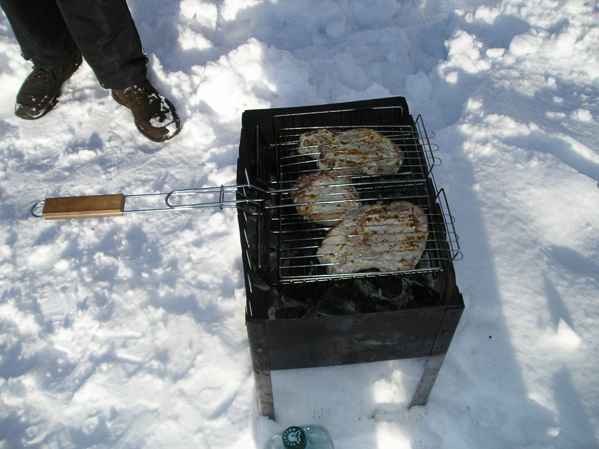 Весна шашлыки