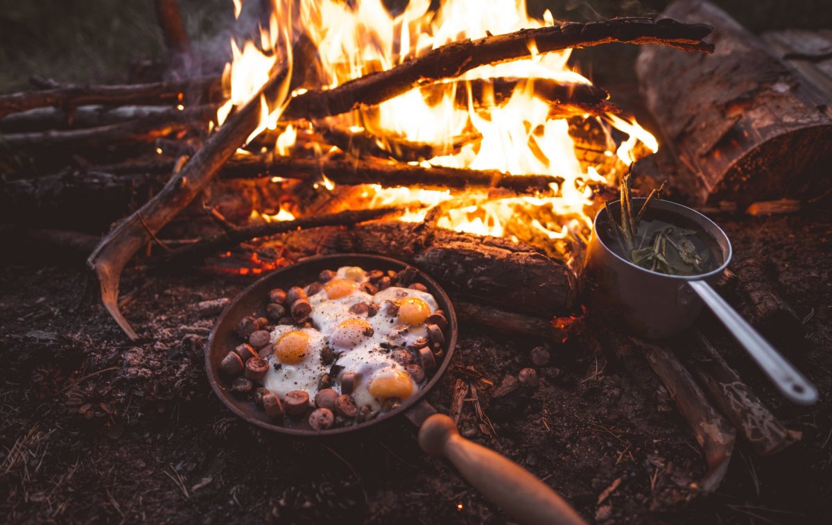 Пикник на природе