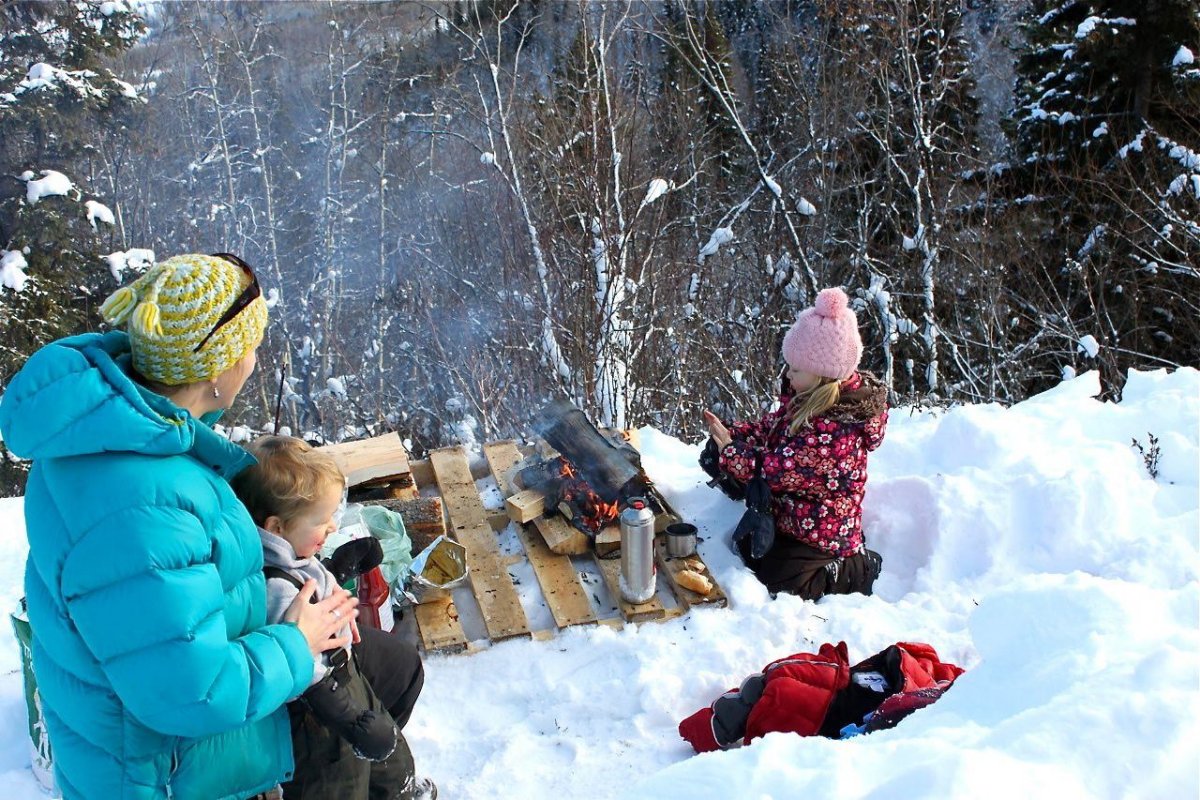 Шашлык на мангале