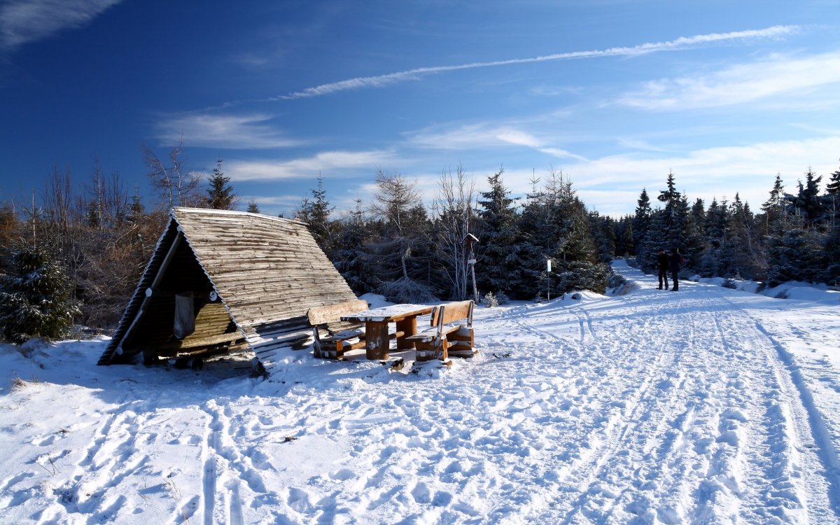Пикник в зимнем лесу