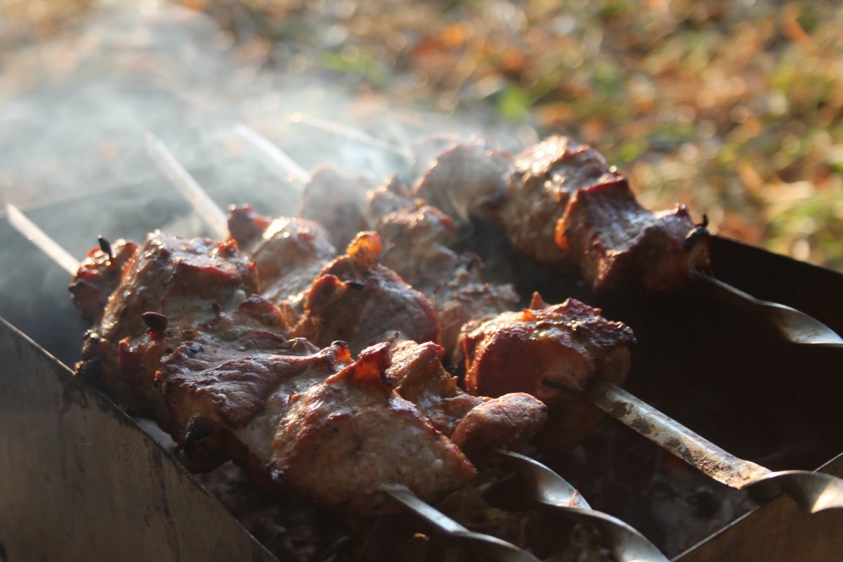 Шашлык зимой на природе