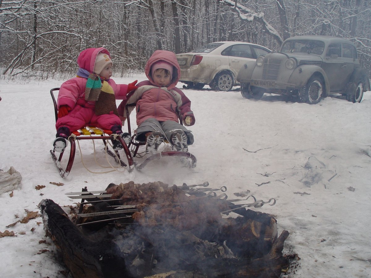 Шашлыки на природе
