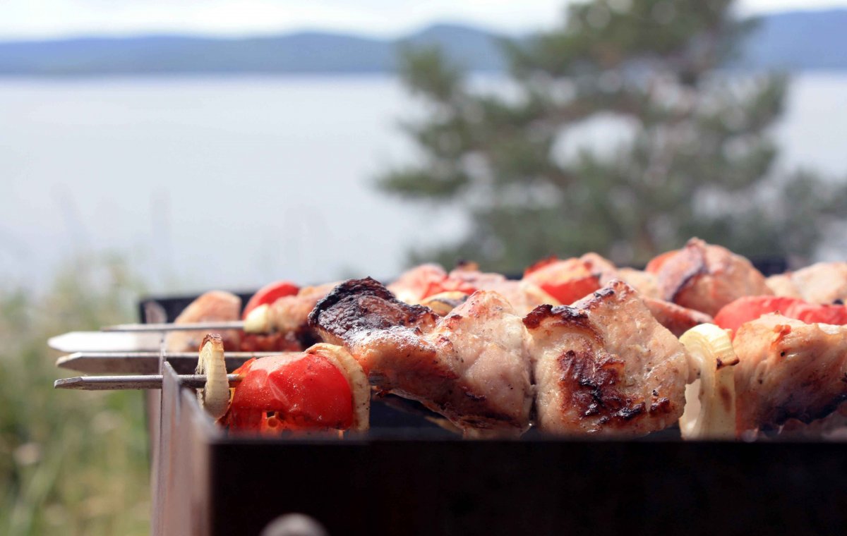 Шашлык Макросъемка