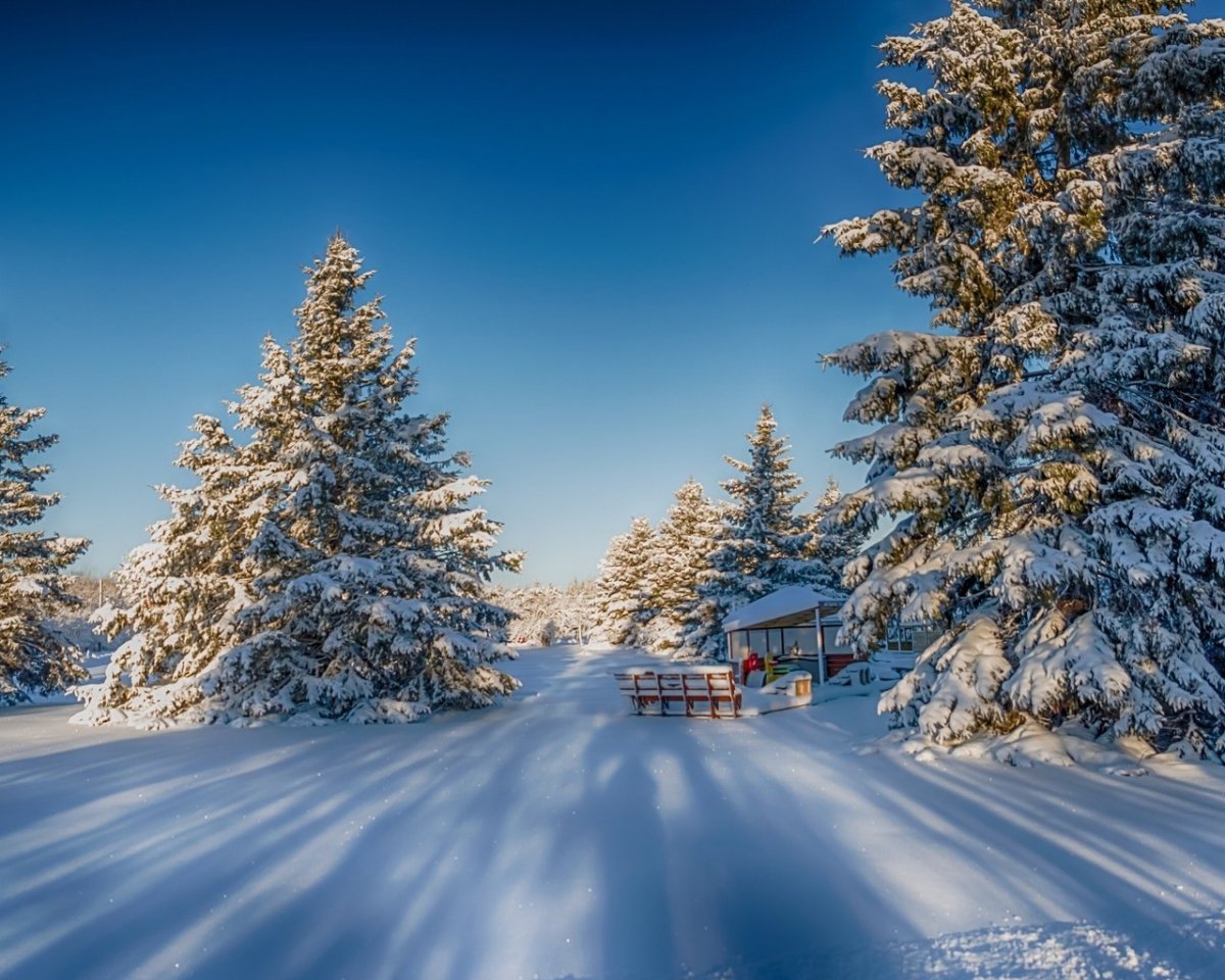 Картинки на рабочий стол природа зима