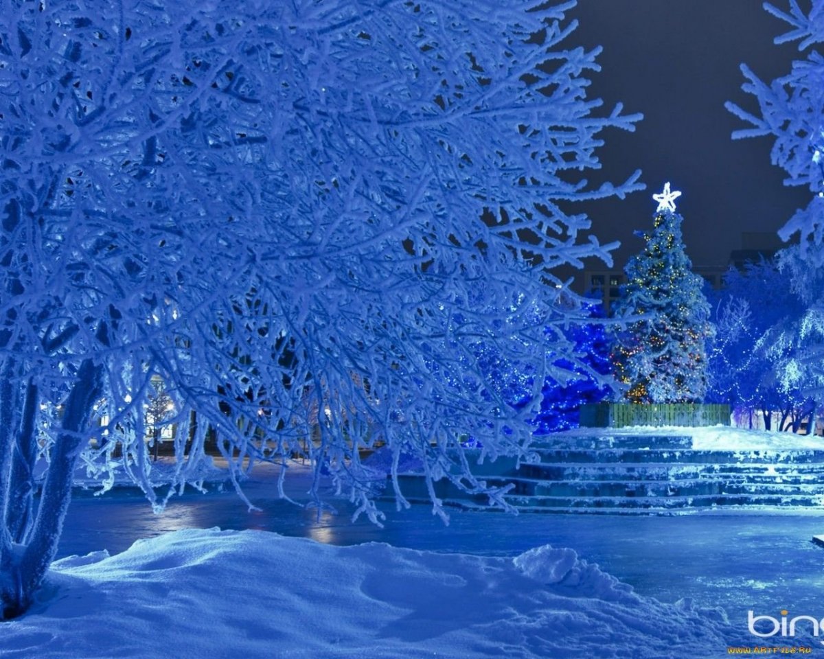 Снежная Новогодняя природа