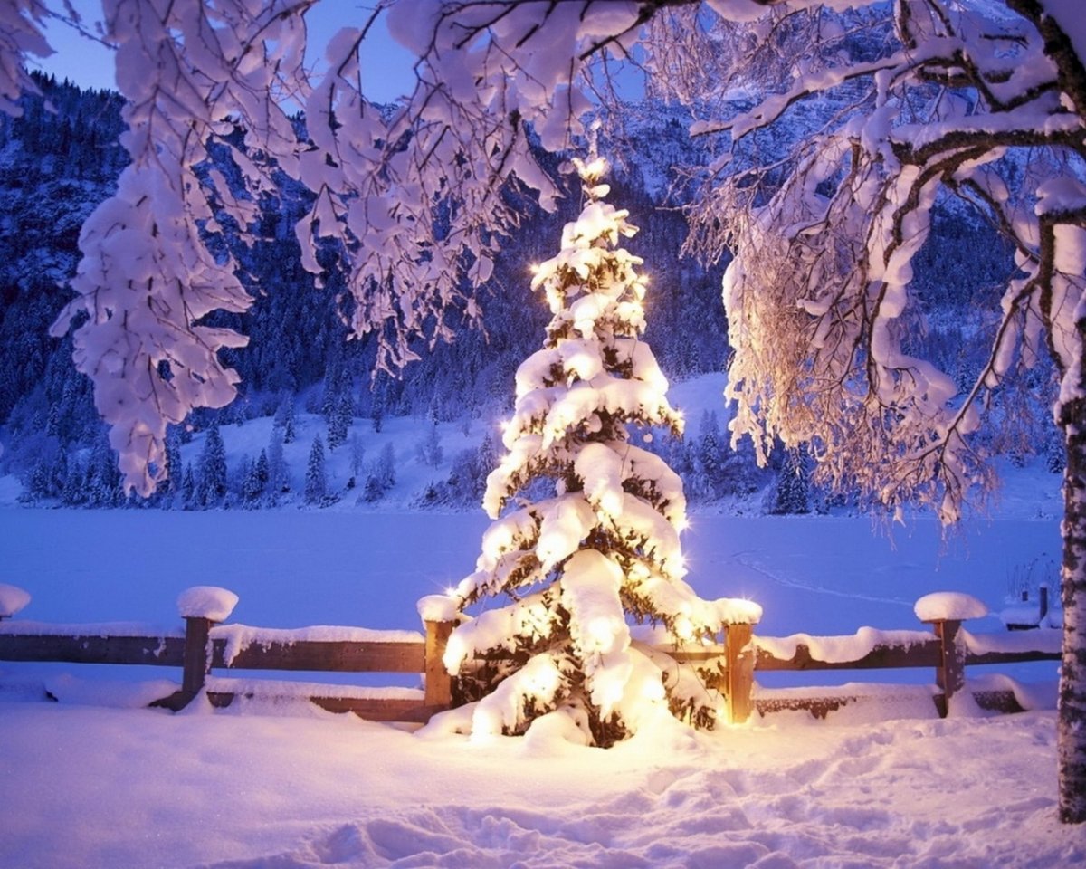 Сказочная зима