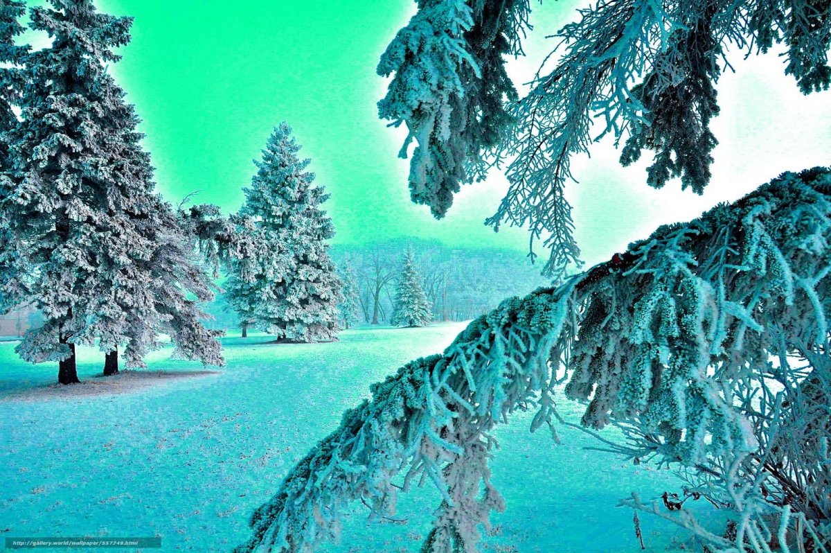 Красивая зима