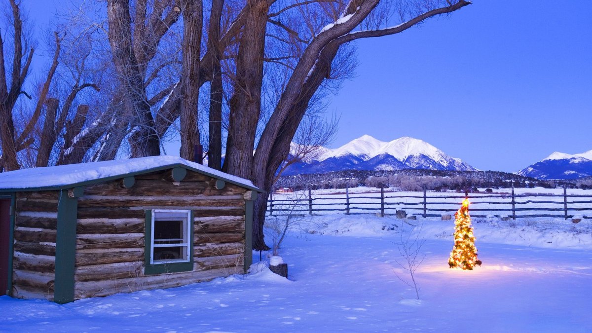 Новый год природа