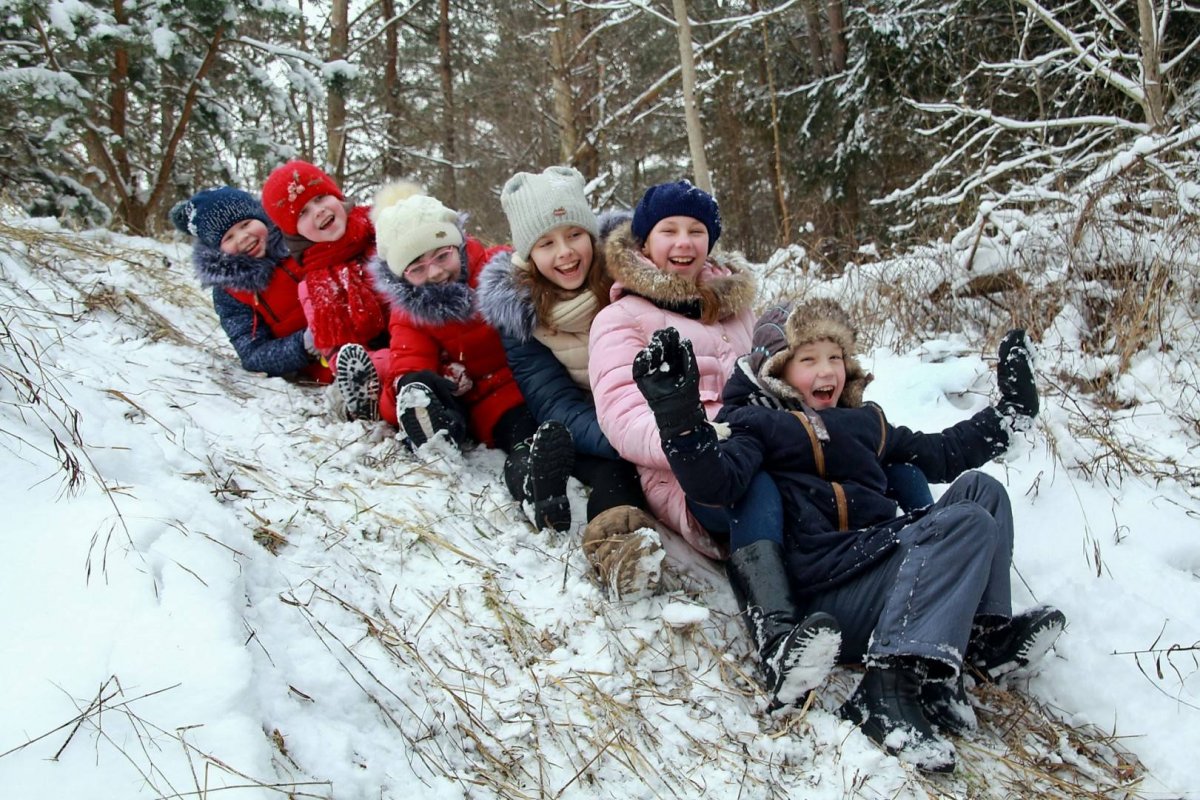 Зимние радости