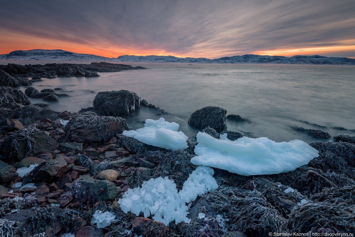 Арктика Кольский полуостров