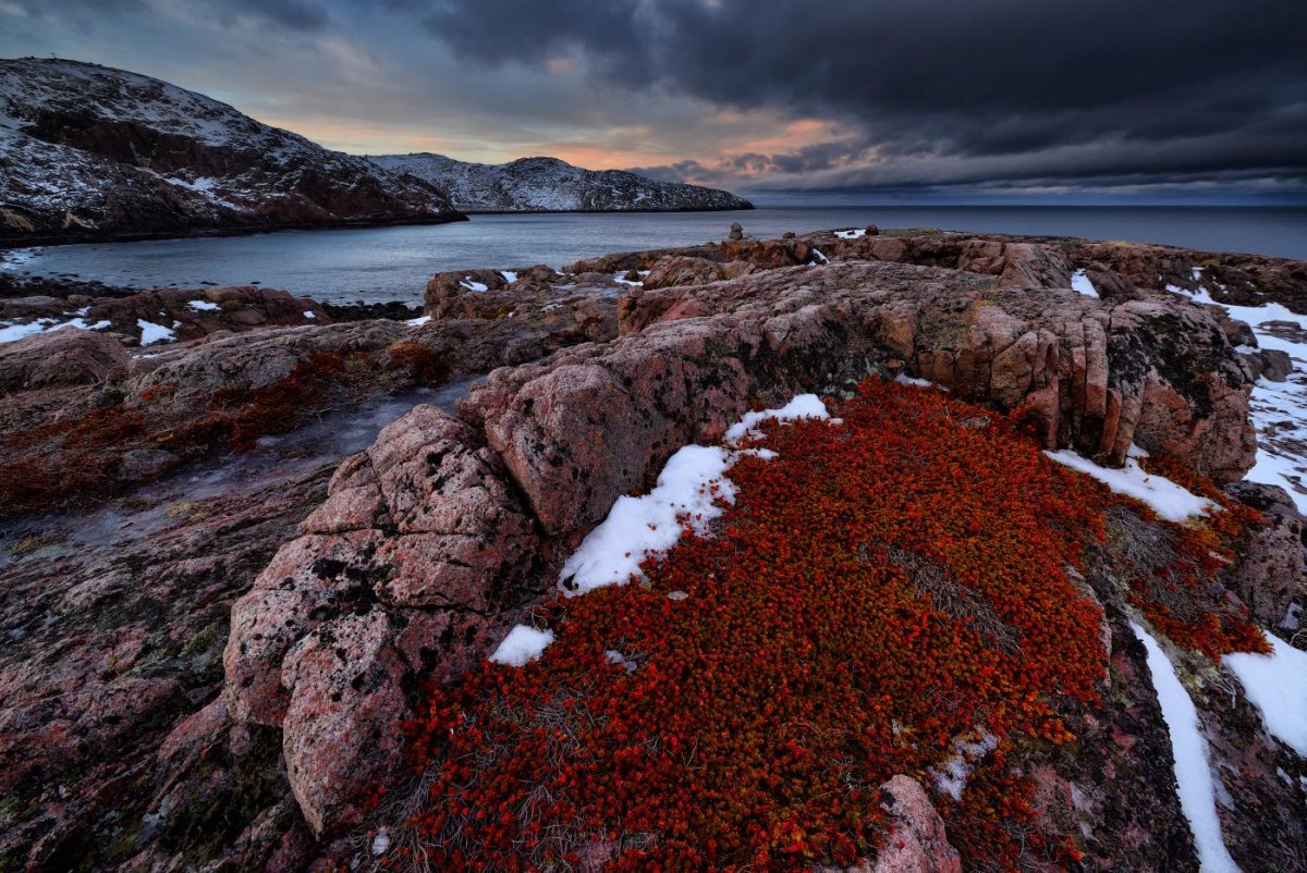 Баренцево море Териберка