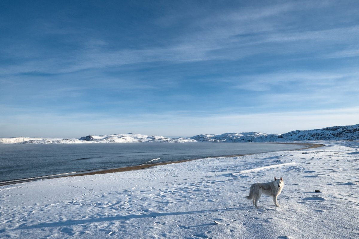 Териберка тундра зимой