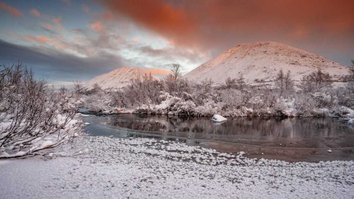 Осенняя тундра Териберка