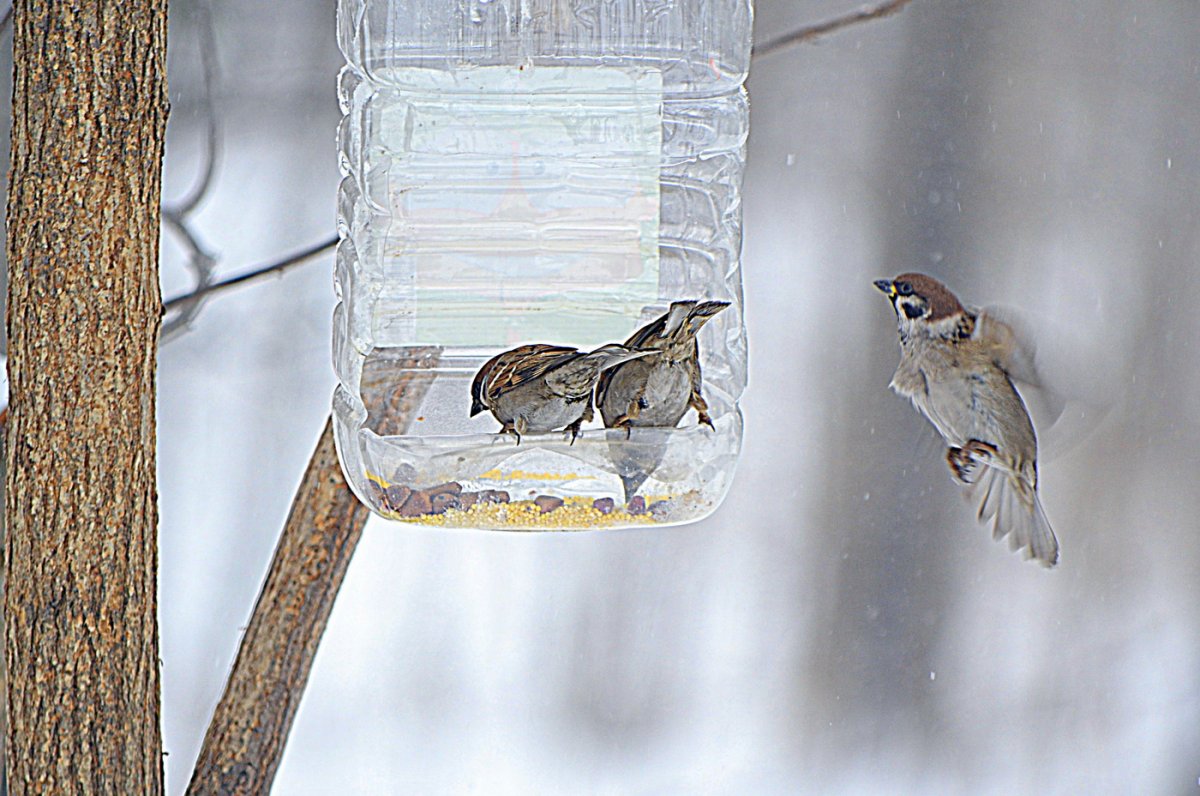 Кормушка для птиц Весна