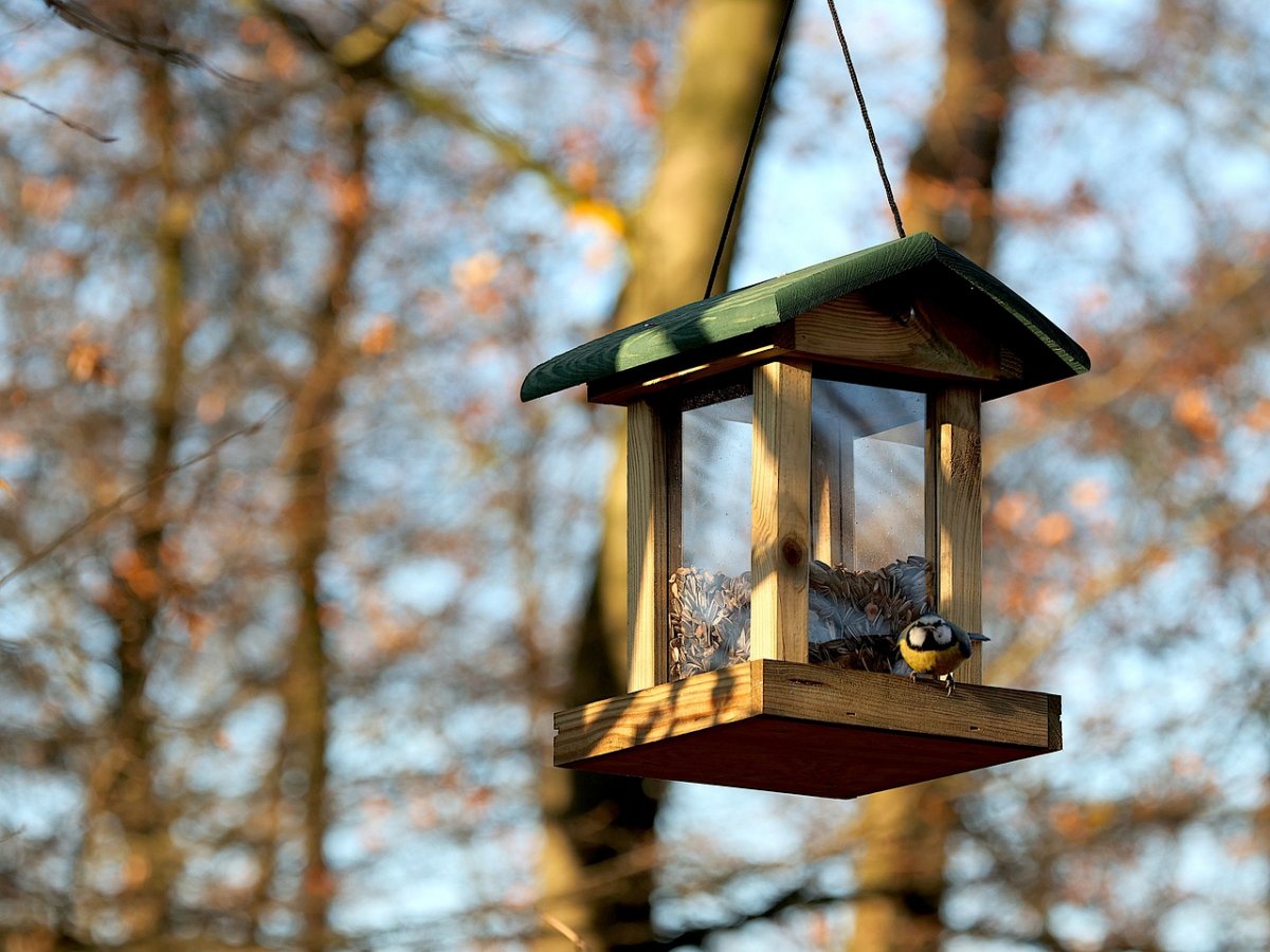 Кормушка зимой в стиле аниме