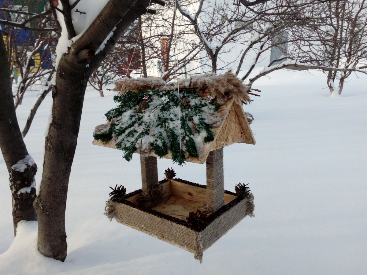 Зимний скворечник