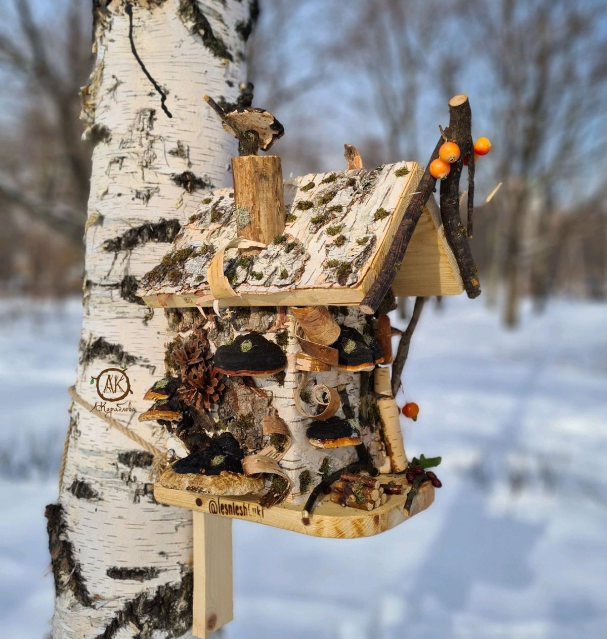 Птички синички кормушки