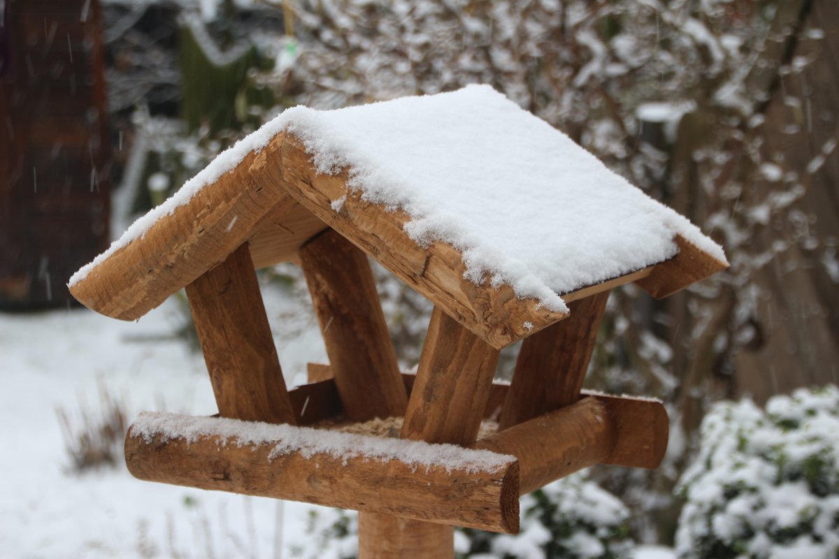 Сказочные кормушки для птиц