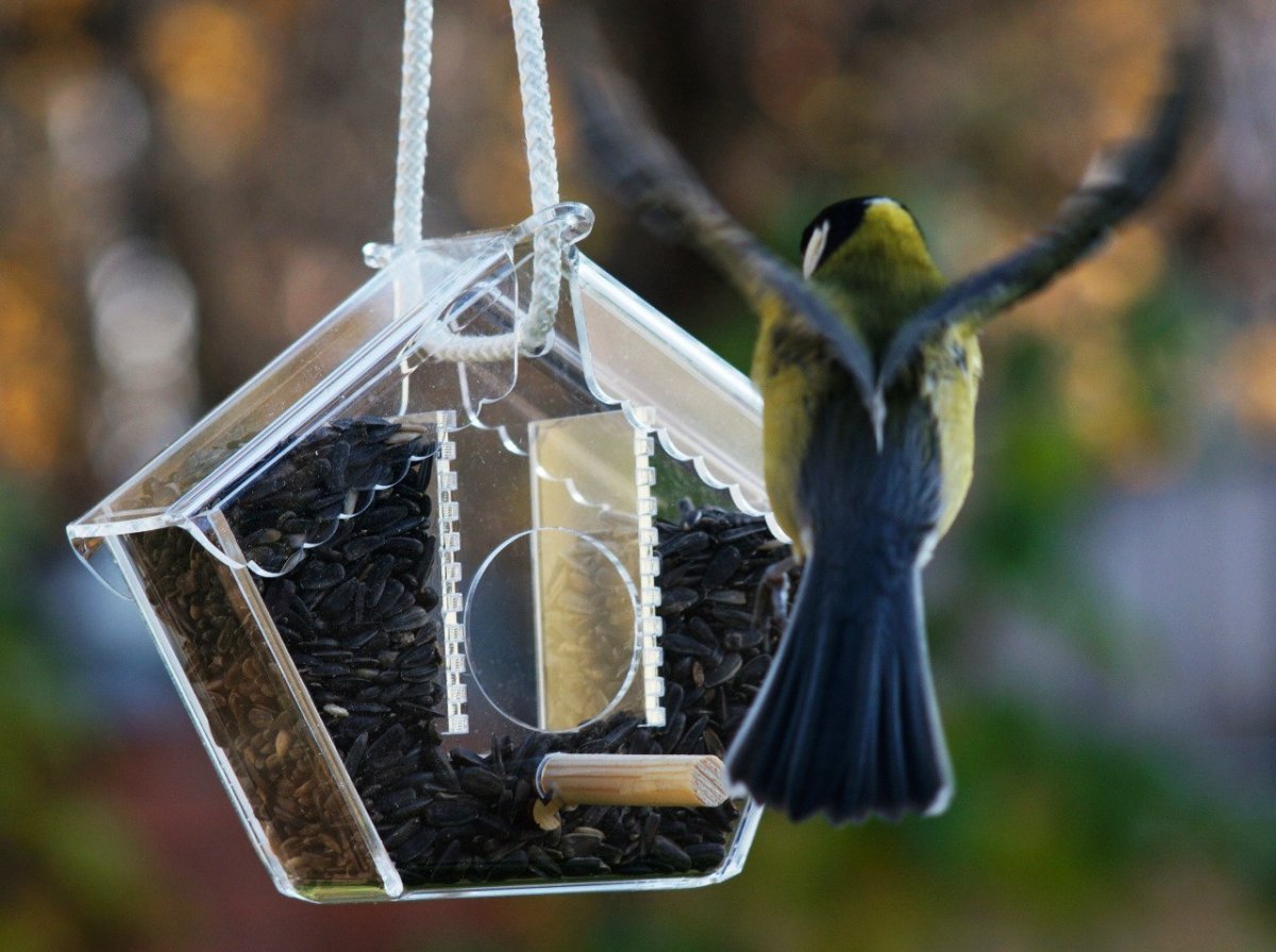 Зимняя кормушка для птиц
