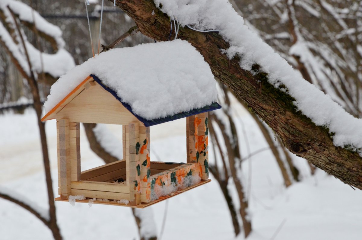 Кормушка для птиц зима