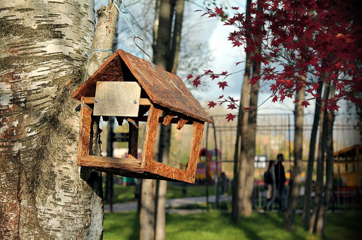 Кормушка зимой с детьми