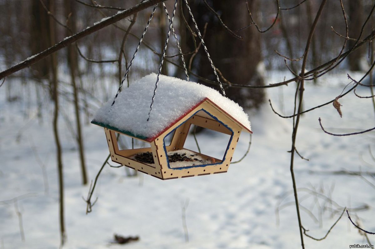 Кормушка для синиц