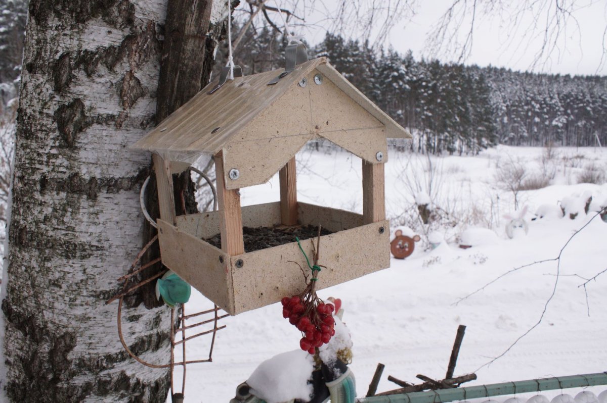Кормушки для птиц зимой