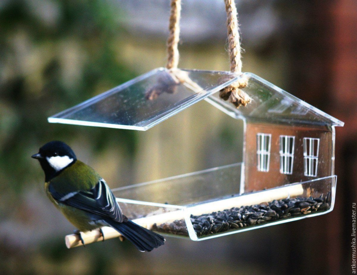 Столовая для птиц