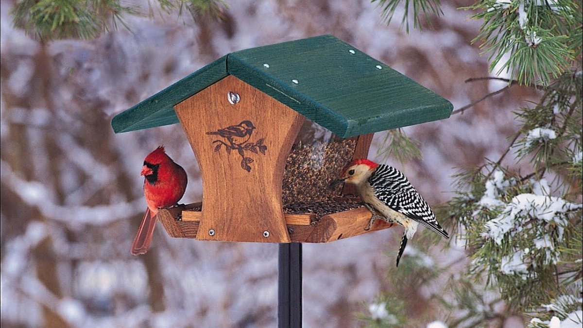 Кормушка для птичек