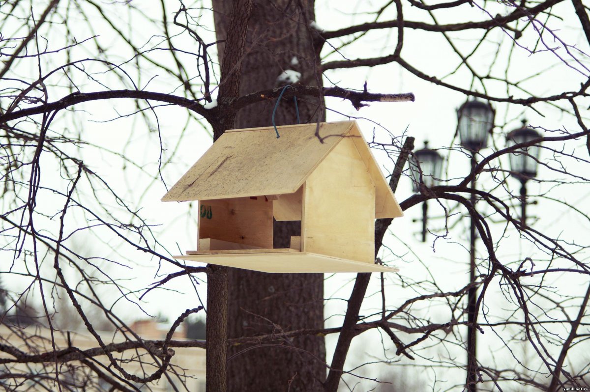 Кормушки для птиц в парках