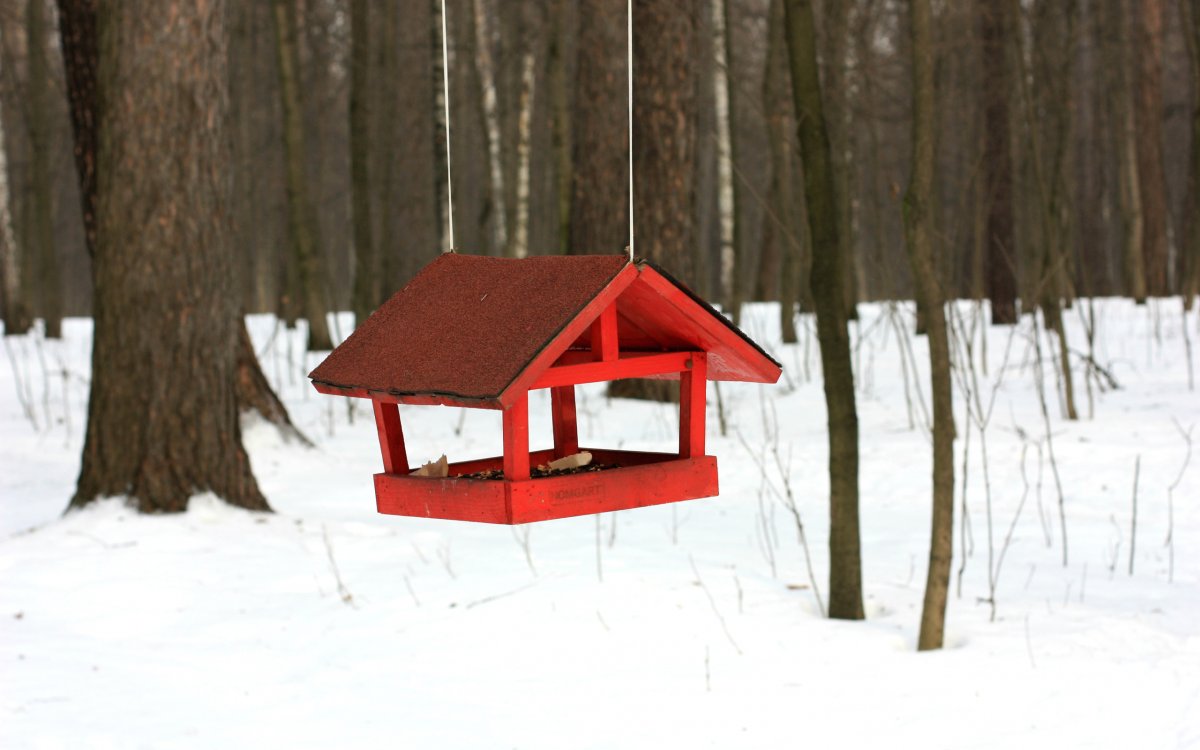 Эко кормушка для птиц