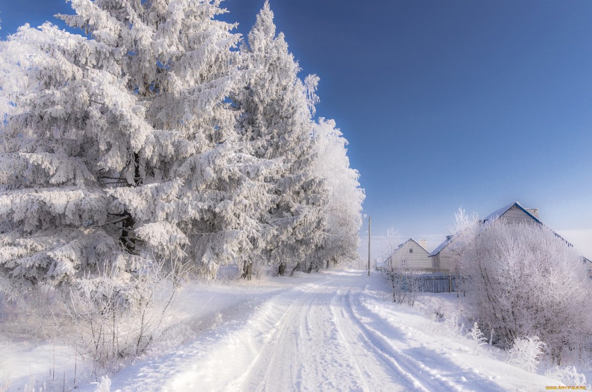 Деревня зимой