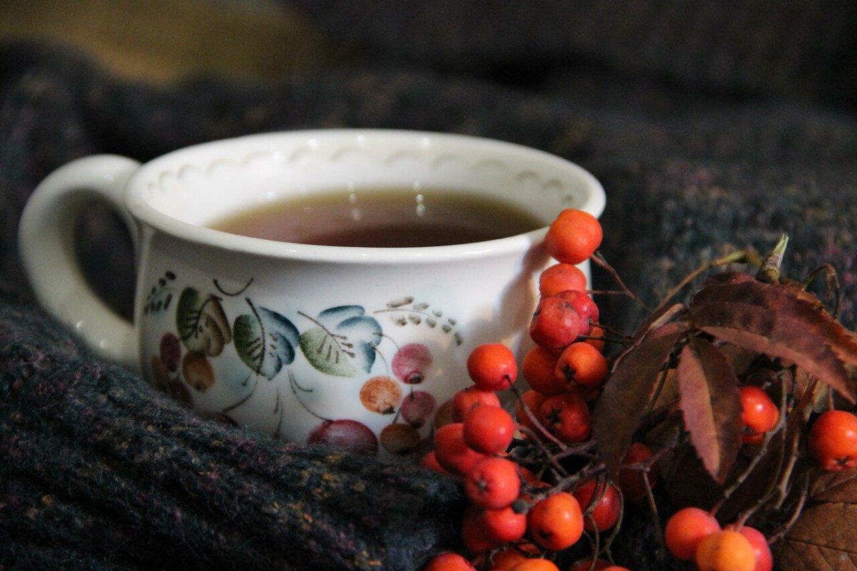 Рябиновый чай