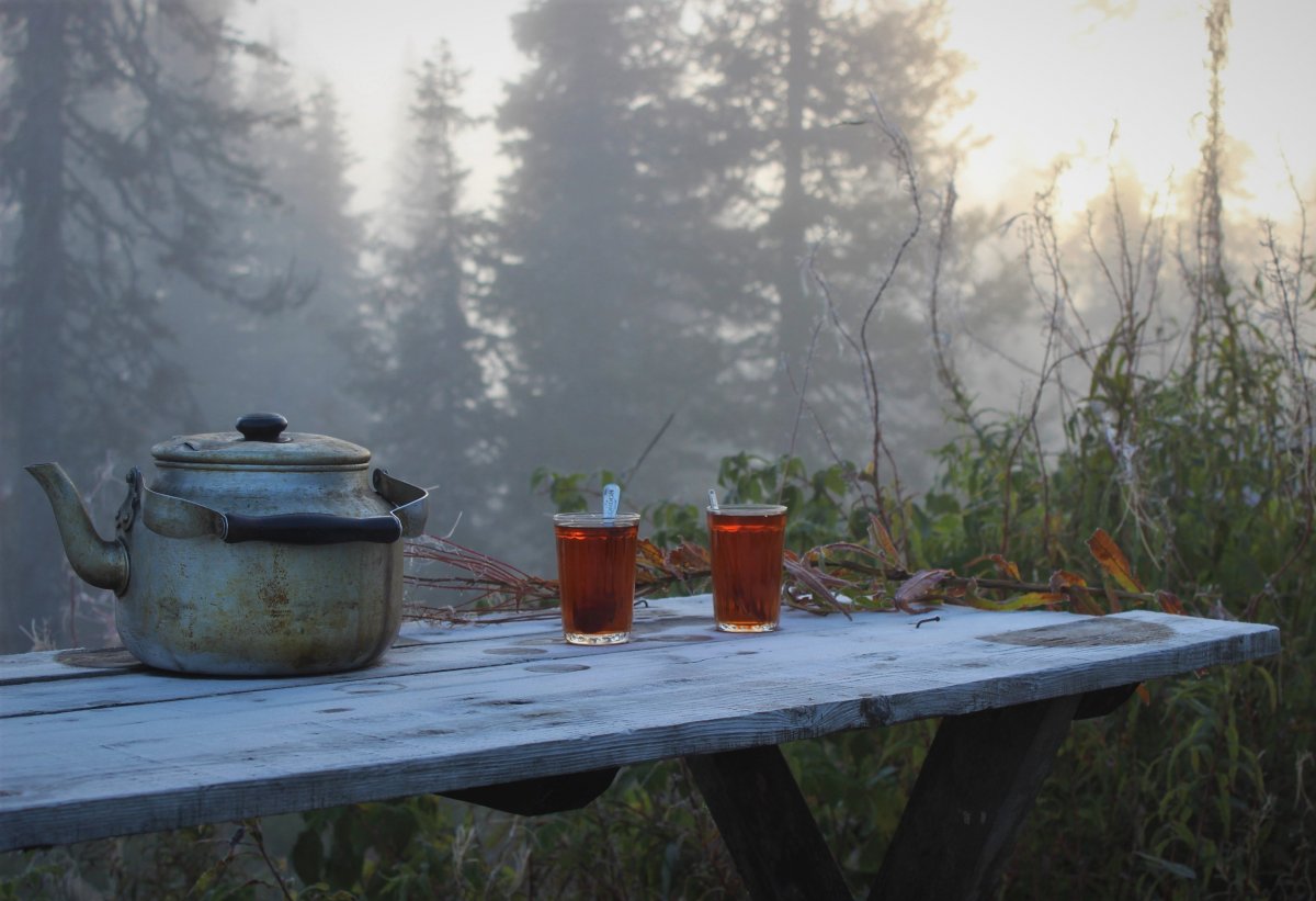 Чайная церемония на природе