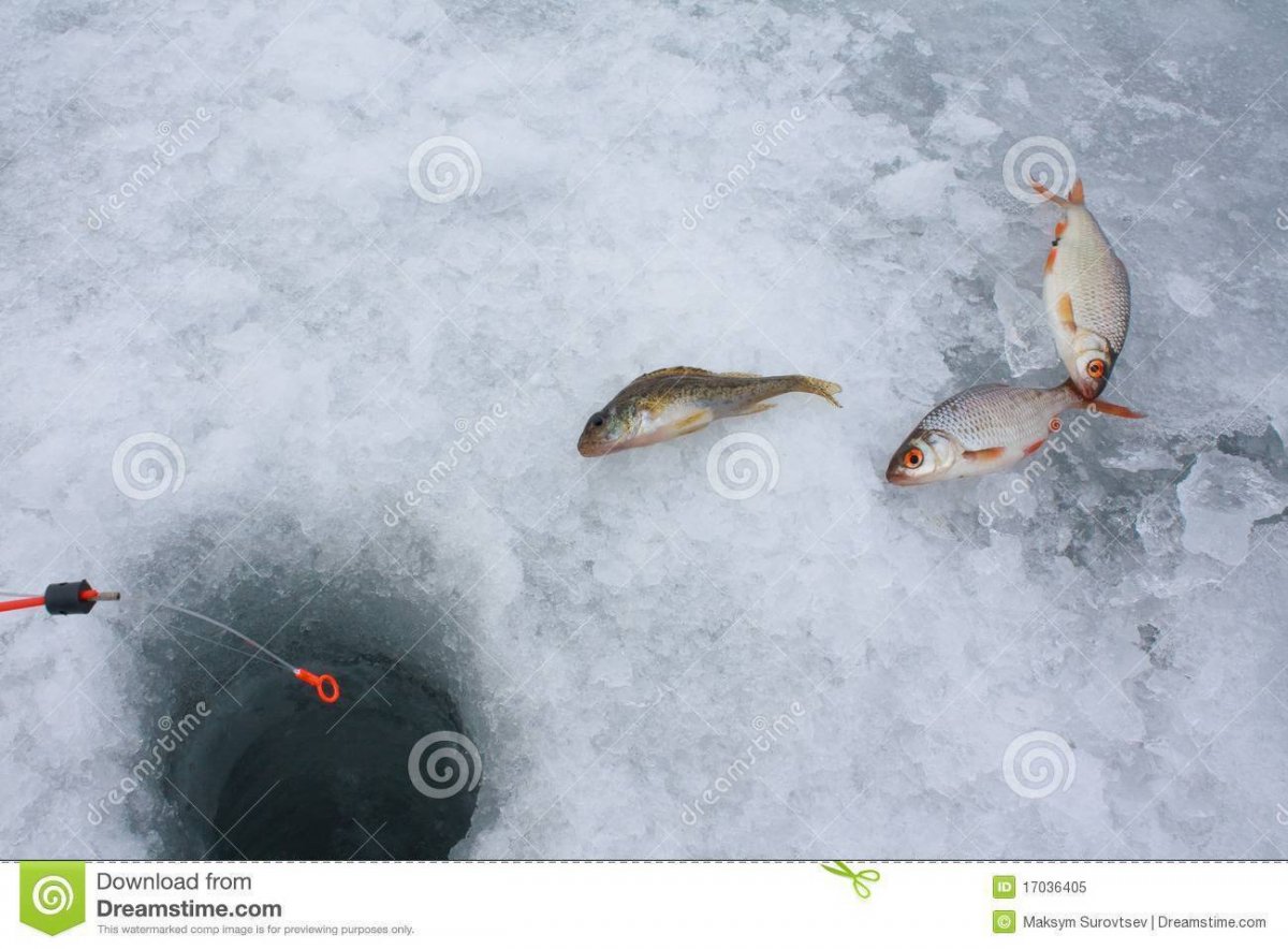 Снасть на чебака зимой