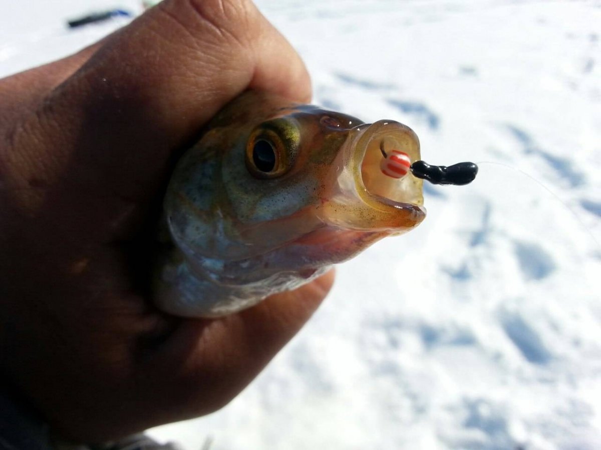 Мормышки для зимней рыбалки