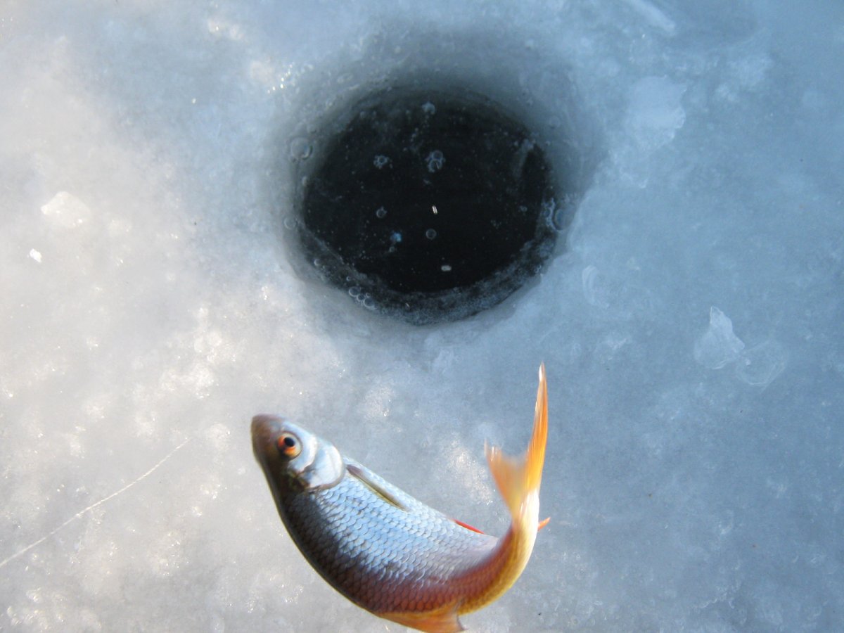 Зимняя рыбалка лунка