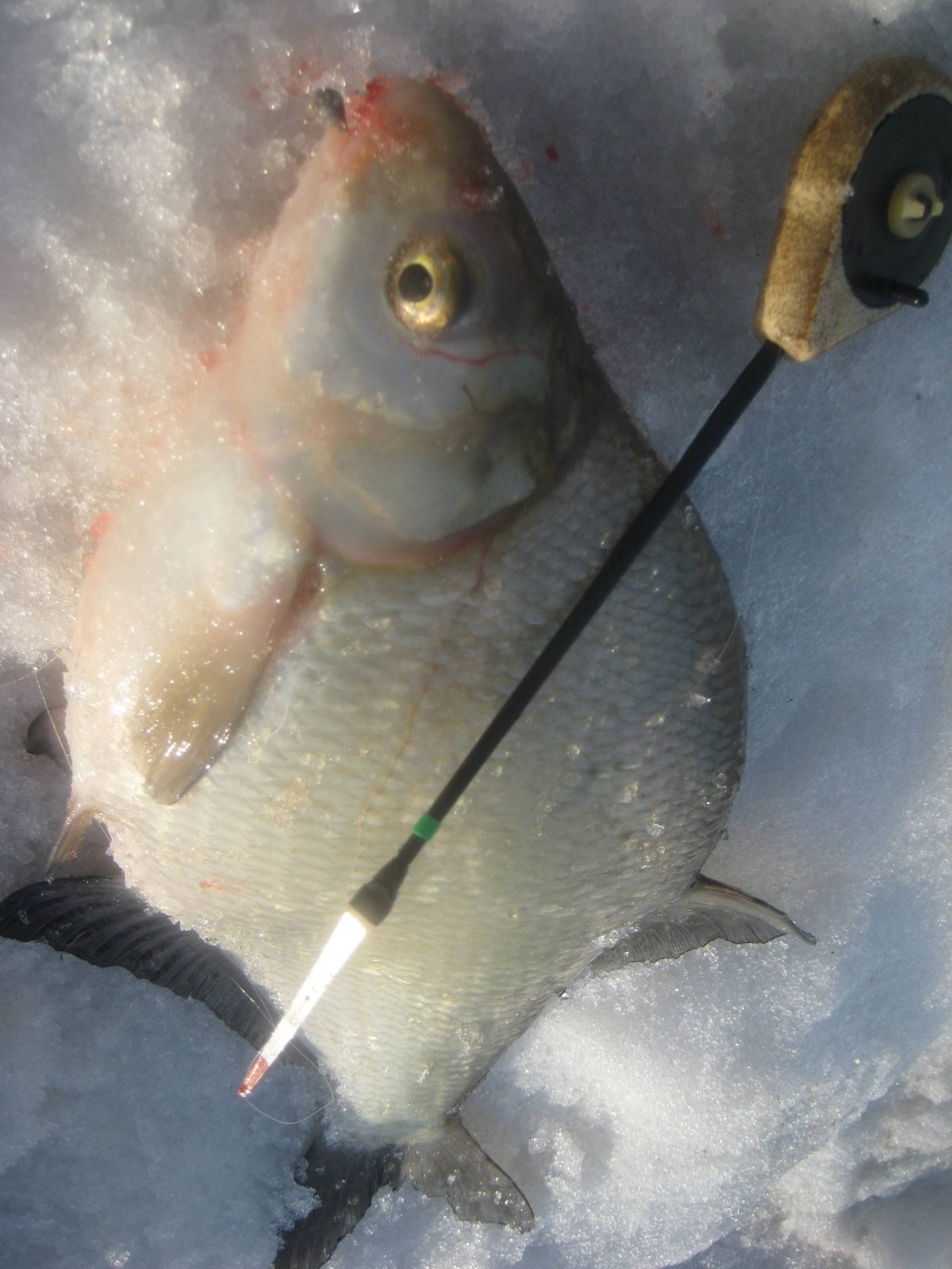 Мормышки на подлещика для зимней рыбалки