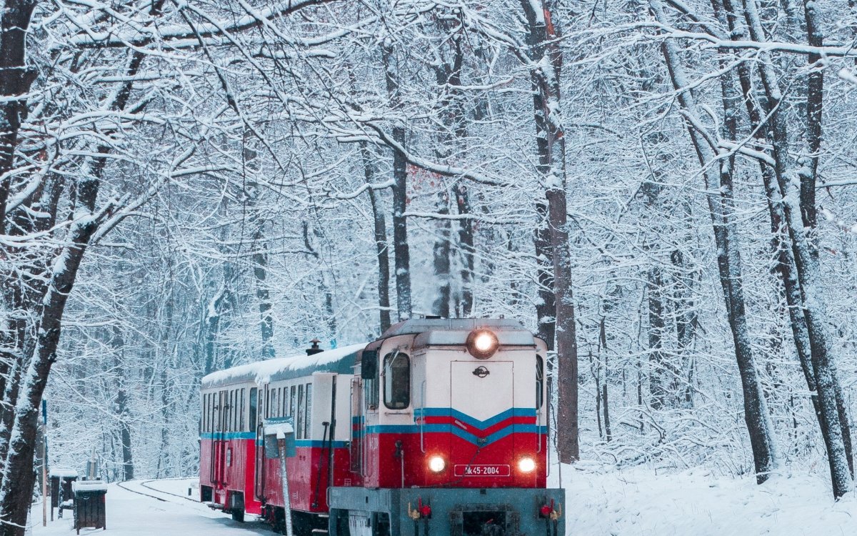 Поезд в лесу зимой