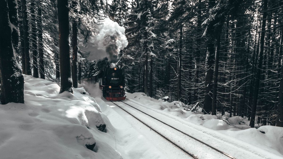 Поезд в лесу
