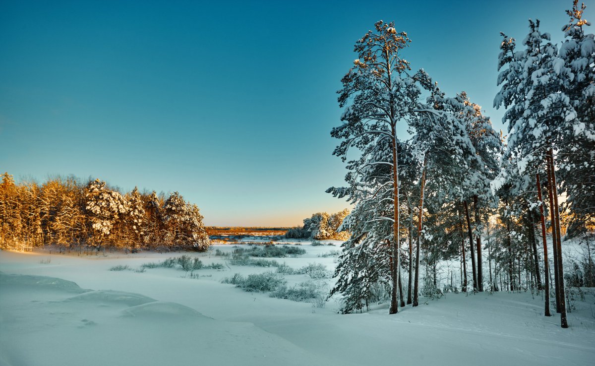 ХМАО Югра Сургут природа