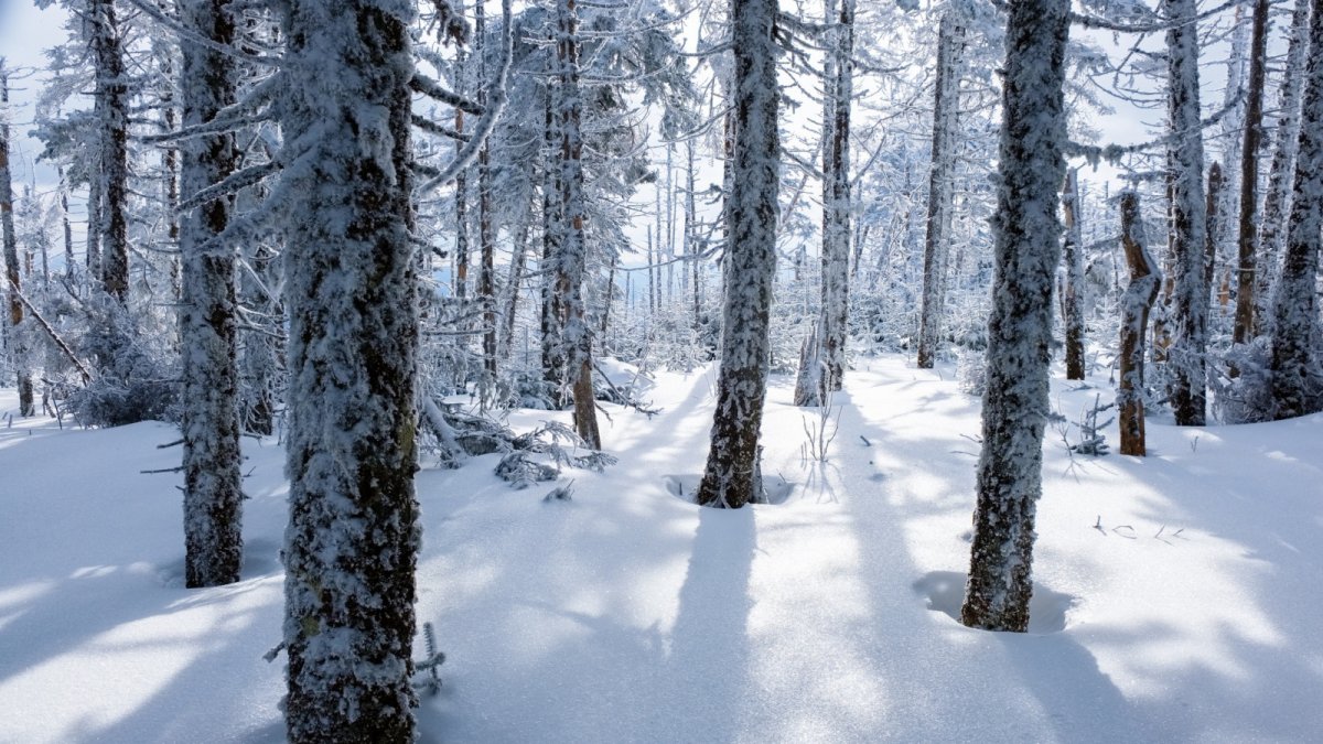 Собор Воскресения Христова Ханты-Мансийск