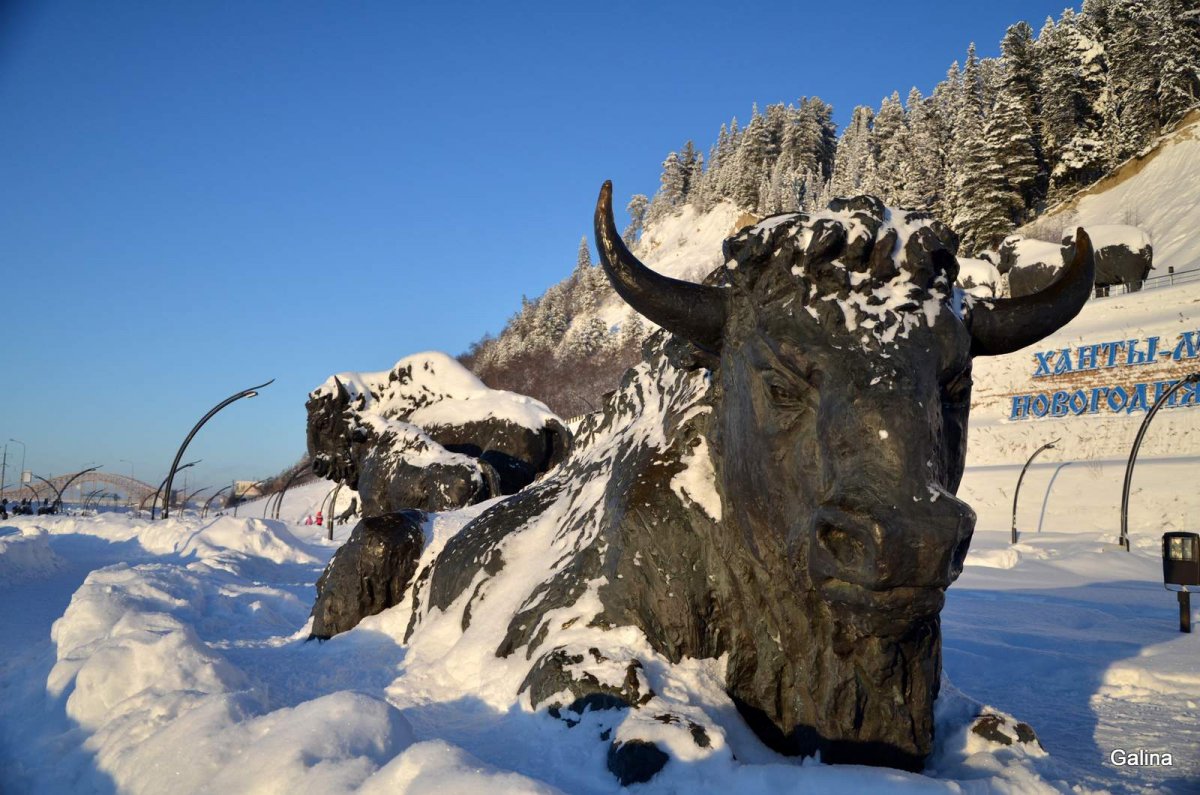 Мост с Ханты Мансийска на Нягань