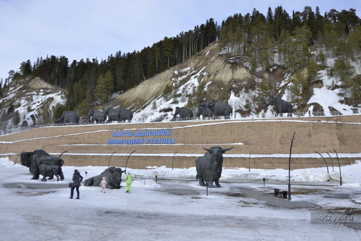 Горнолыжка Ханты-Мансийск хвойный Урман