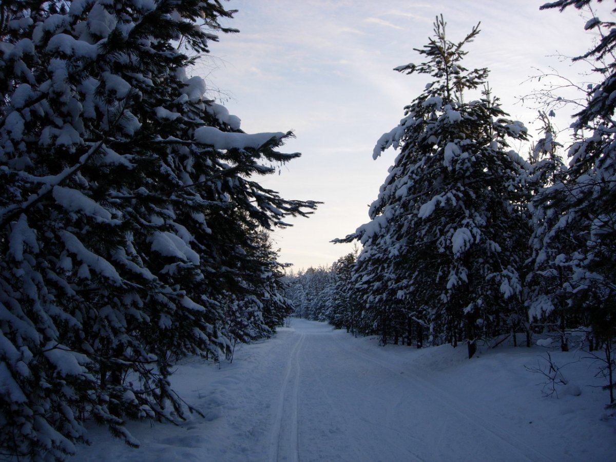 Ханты-Мансийск озера