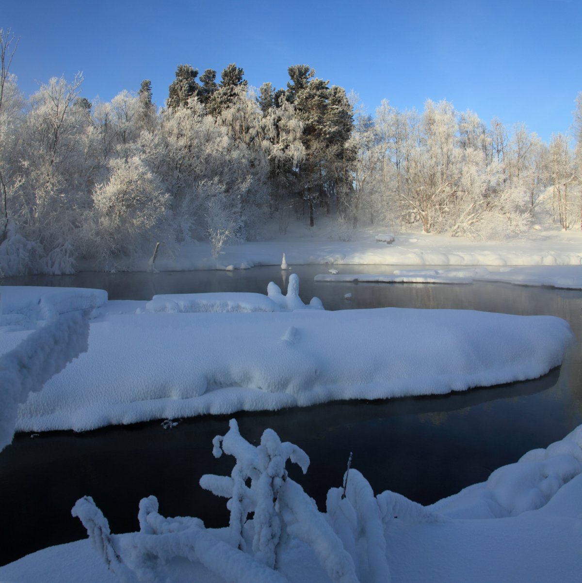 ХМАО природа зима