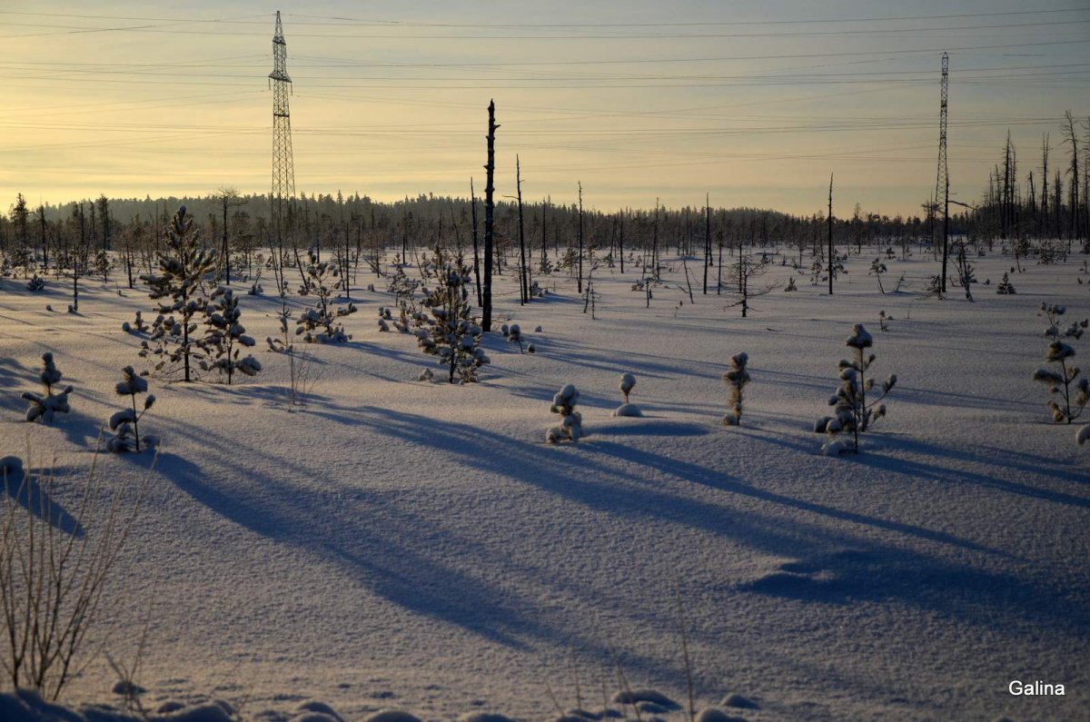 Ханты-Мансийск мост
