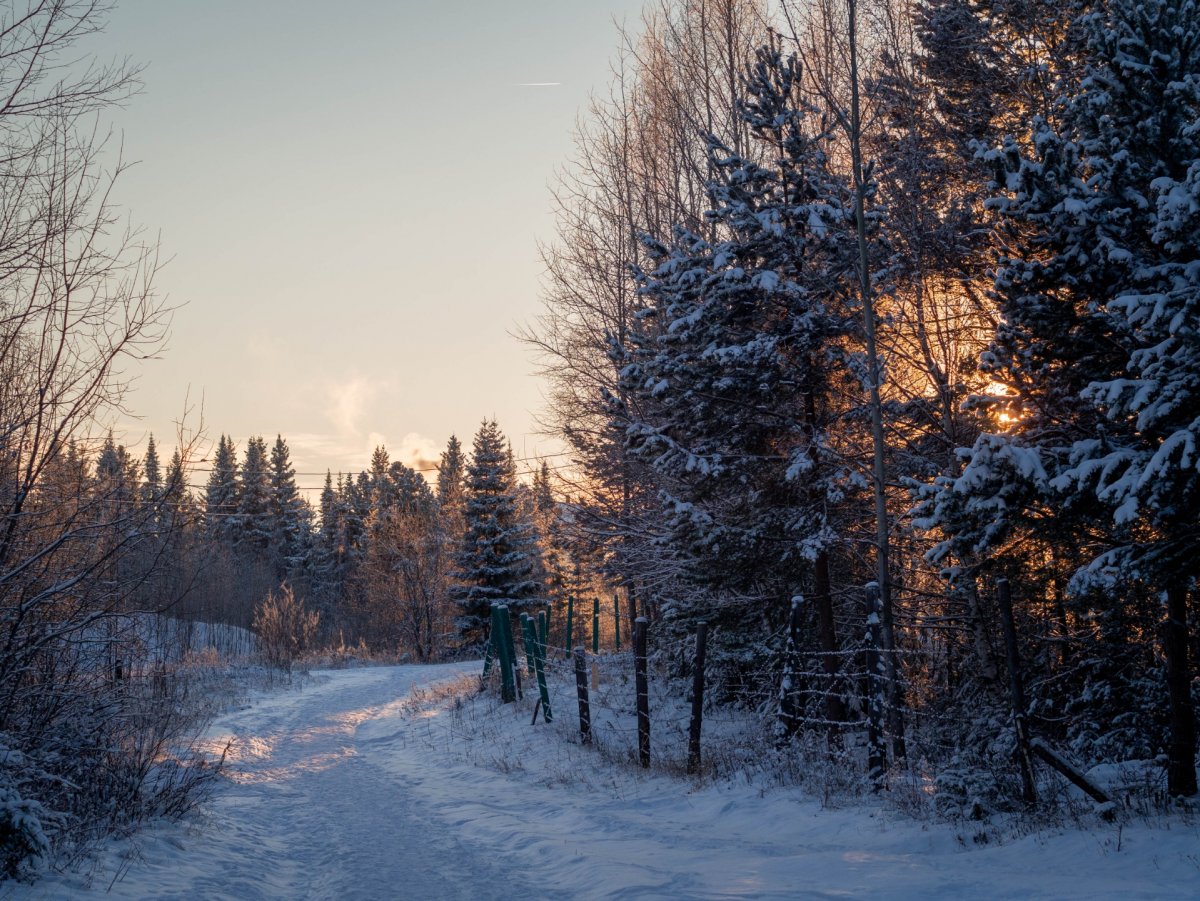 Ханты-Мансийск парк зимой
